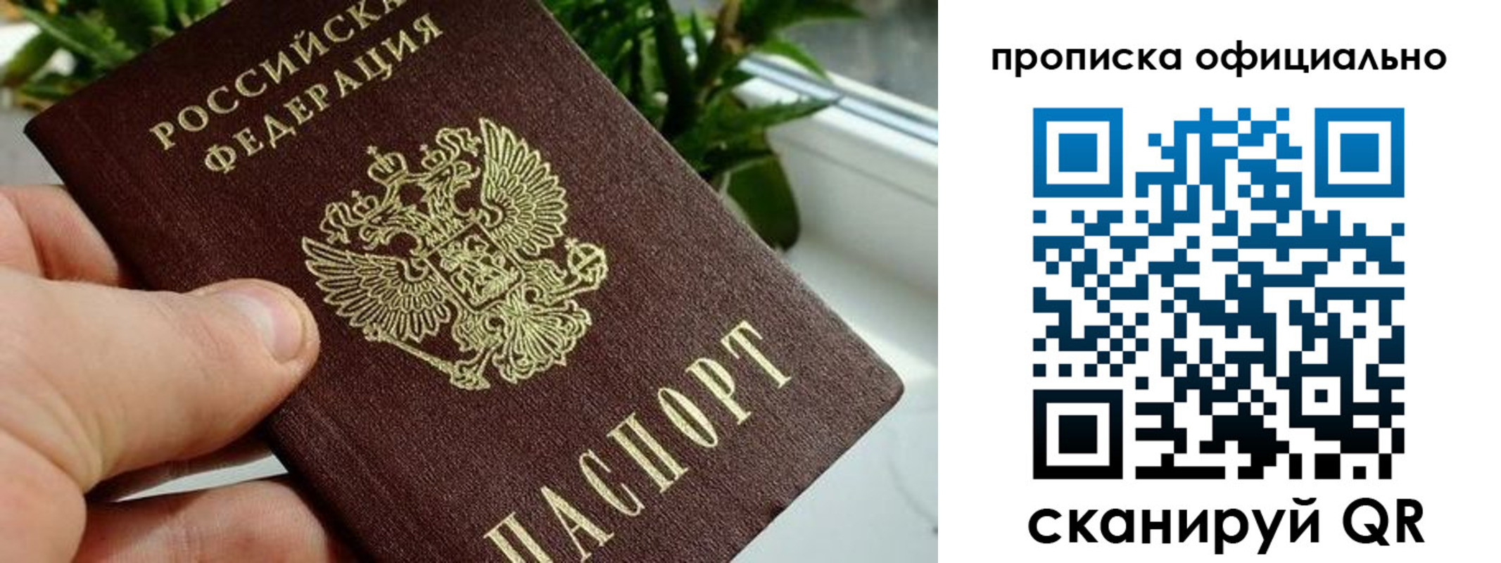 прописка поиск в Янауле